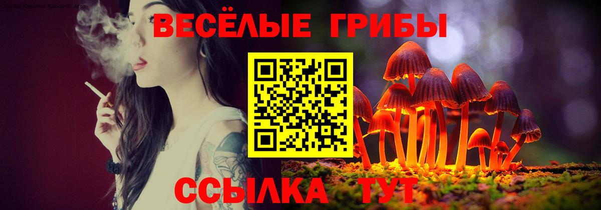 Белая Калитва  Галлюциногенные грибы Psilocybe  Вход с VPN  Галлюциногенные грибы мухоморы 